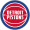  Detroit Pistons   logo