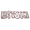 Broki logo