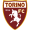Torino logo