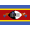 Eswatini [W] logo