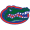 Florida Gators logo